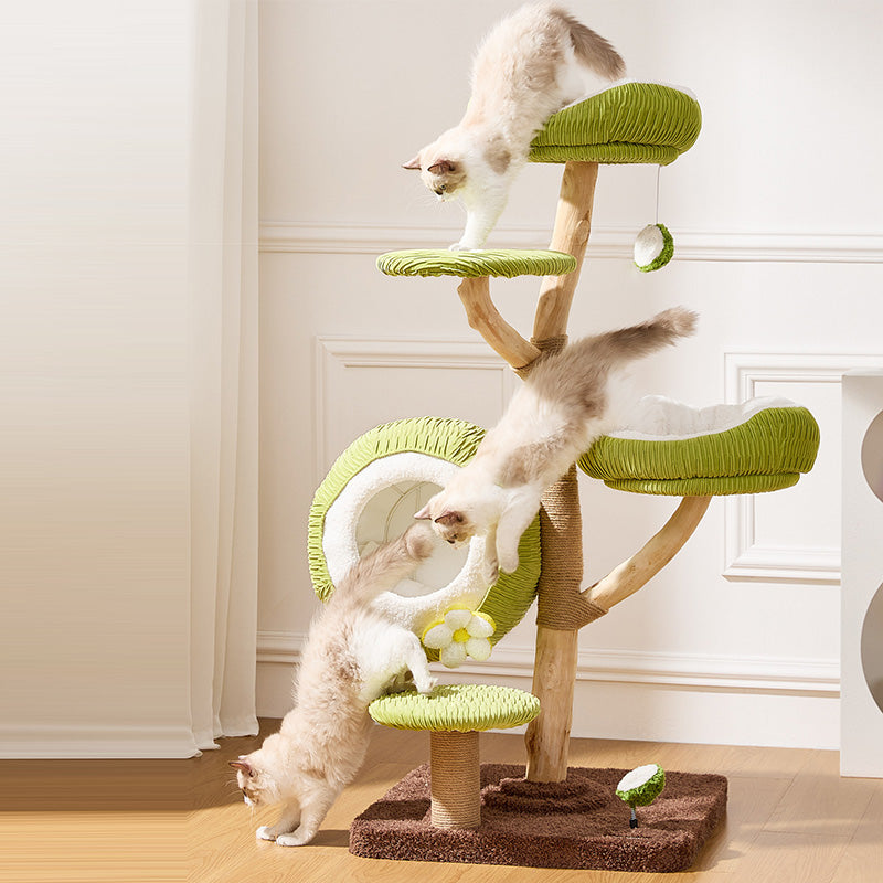 Árbol para gatos contemporáneo y creativo de 5 niveles hecho de tablero de partículas de madera de fruta natural, tela de terciopelo, sisal y coco para sala de estar 