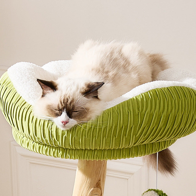 Árbol para gatos contemporáneo y creativo de 5 niveles hecho de tablero de partículas de madera de fruta natural, tela de terciopelo, sisal y coco para sala de estar 