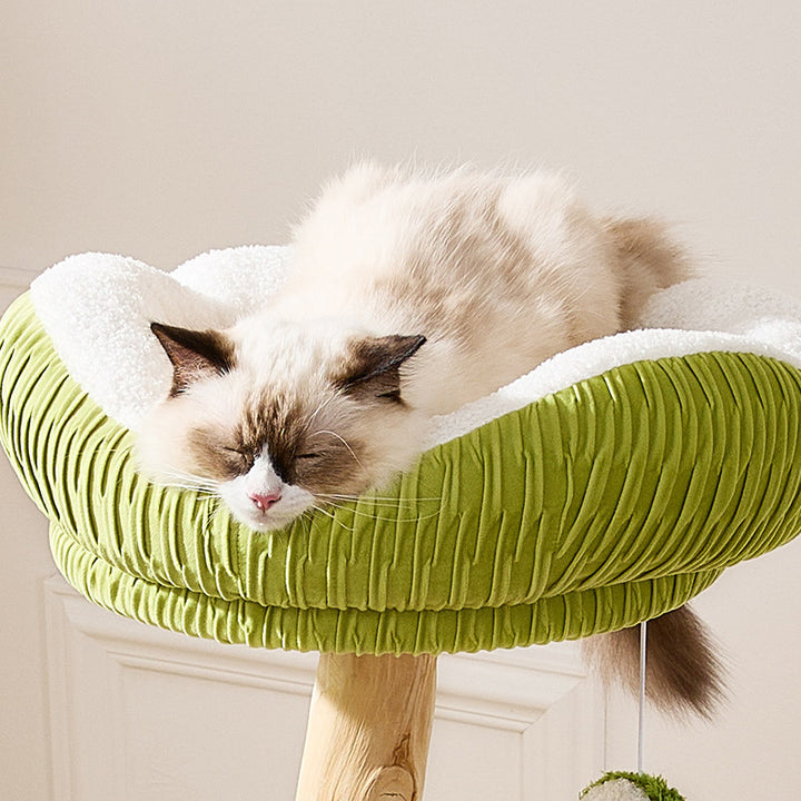 Árbol para gatos contemporáneo y creativo de 5 niveles hecho de tablero de partículas de madera de fruta natural, tela de terciopelo, sisal y coco para sala de estar 
