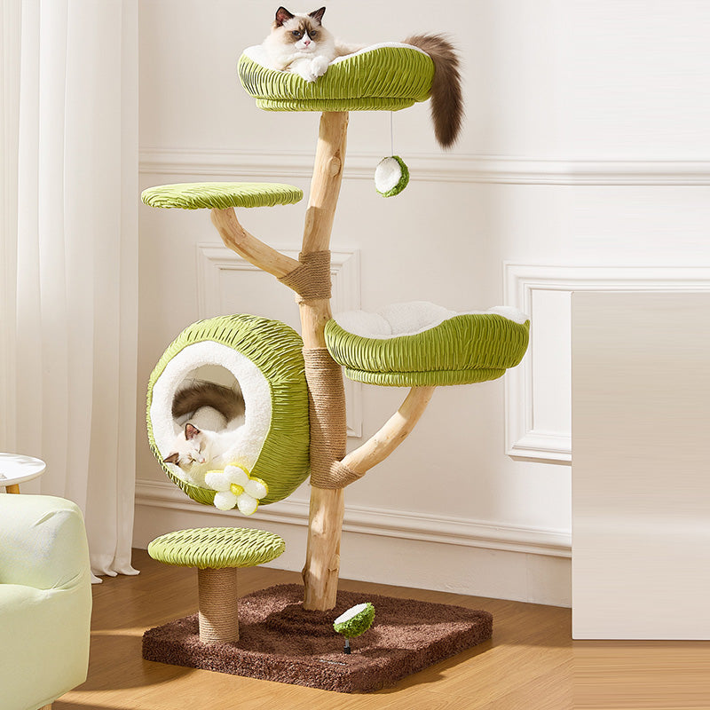 Árbol para gatos contemporáneo y creativo de 5 niveles hecho de tablero de partículas de madera de fruta natural, tela de terciopelo, sisal y coco para sala de estar 