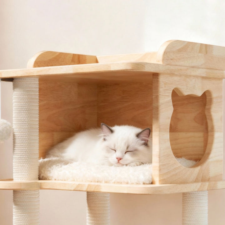 Árbol para gatos de 4 niveles de madera maciza de pino cuadrado escandinavo contemporáneo con cuerda de cáñamo y tubo de papel para sala de estar 