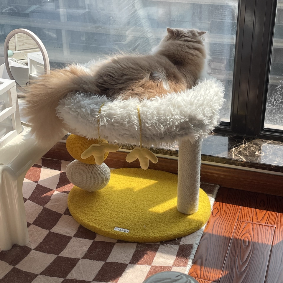 Árbol para gatos contemporáneo creativo redondo de aglomerado, tela de terciopelo y cuerda de cáñamo de 2 niveles para sala de estar 