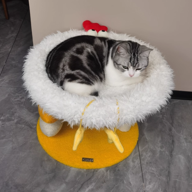 Árbol para gatos contemporáneo creativo redondo de aglomerado, tela de terciopelo y cuerda de cáñamo de 2 niveles para sala de estar 
