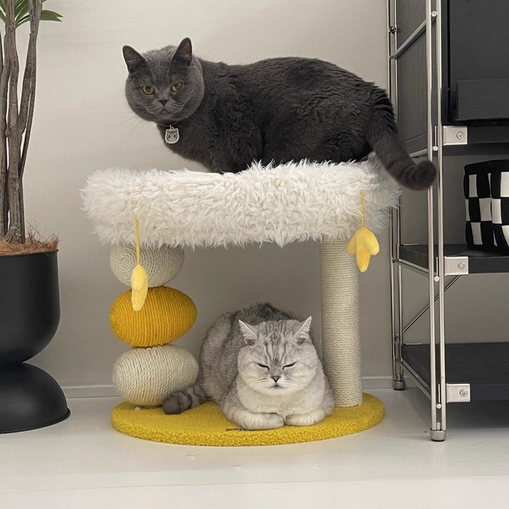 Árbol para gatos contemporáneo creativo redondo de aglomerado, tela de terciopelo y cuerda de cáñamo de 2 niveles para sala de estar 