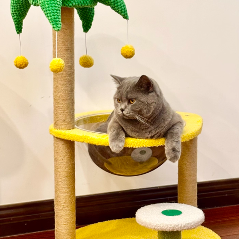 Árbol para gatos contemporáneo de fibra de densidad media redonda creativa de tela de terciopelo y sisal de árbol de coco para sala de estar 