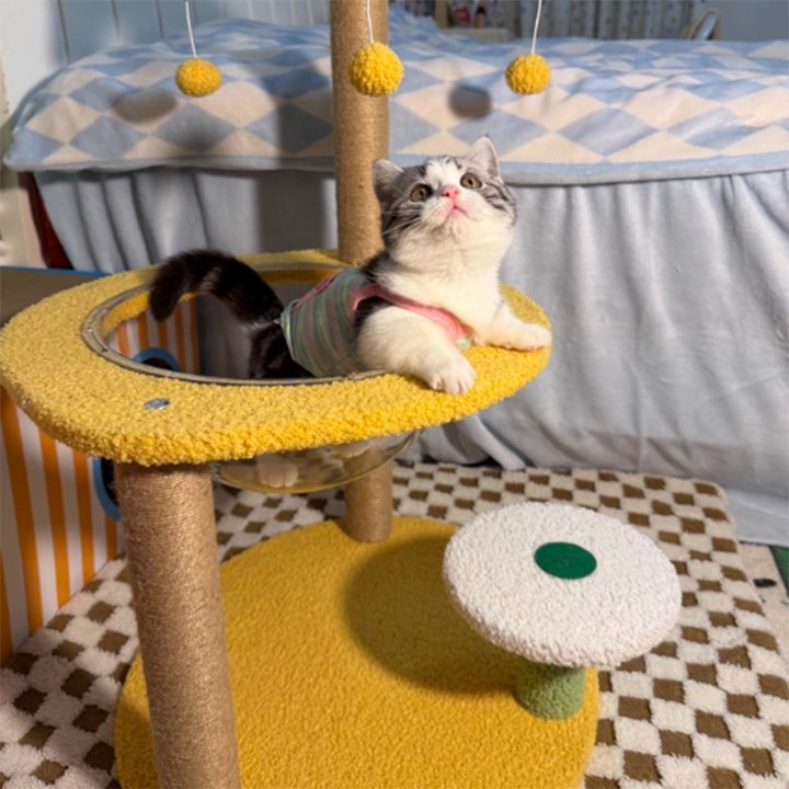 Árbol para gatos contemporáneo de fibra de densidad media redonda creativa de tela de terciopelo y sisal de árbol de coco para sala de estar 