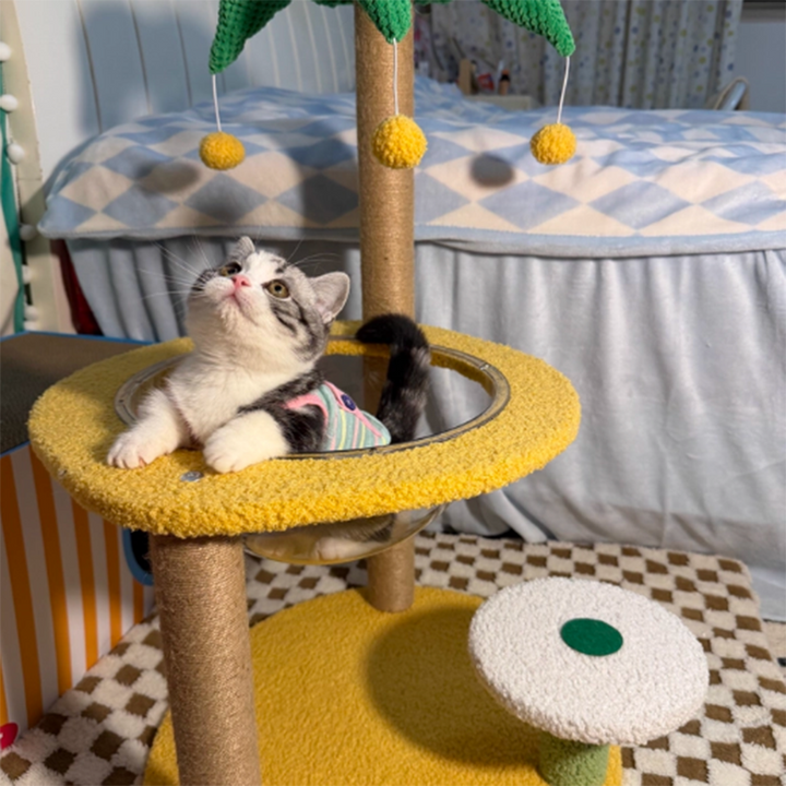 Árbol para gatos contemporáneo de fibra de densidad media redonda creativa de tela de terciopelo y sisal de árbol de coco para sala de estar 