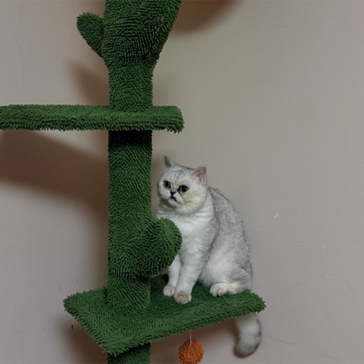 Árbol para gatos contemporáneo de partículas rectangulares de tela de terciopelo y tubo de papel de sisal con forma de cactus para sala de estar 