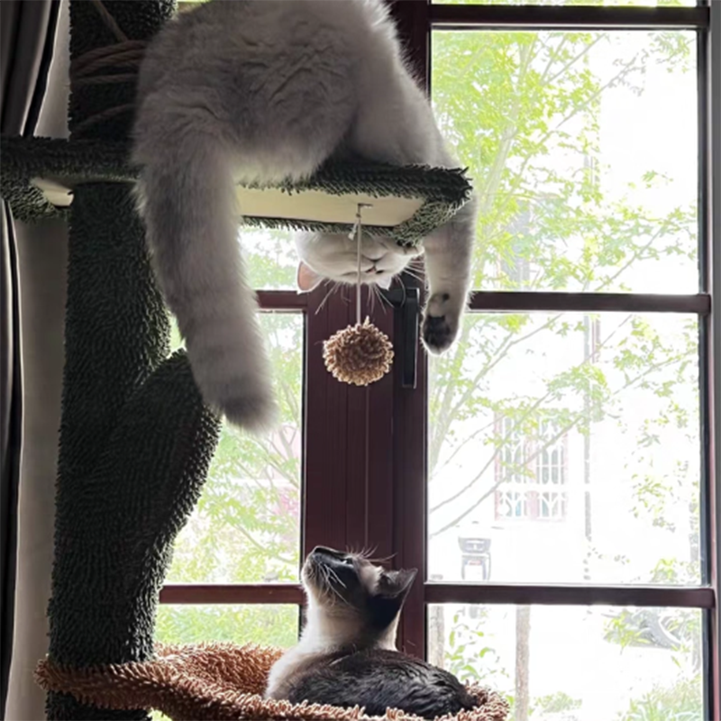 Árbol para gatos contemporáneo de partículas rectangulares de tela de terciopelo y tubo de papel de sisal con forma de cactus para sala de estar 