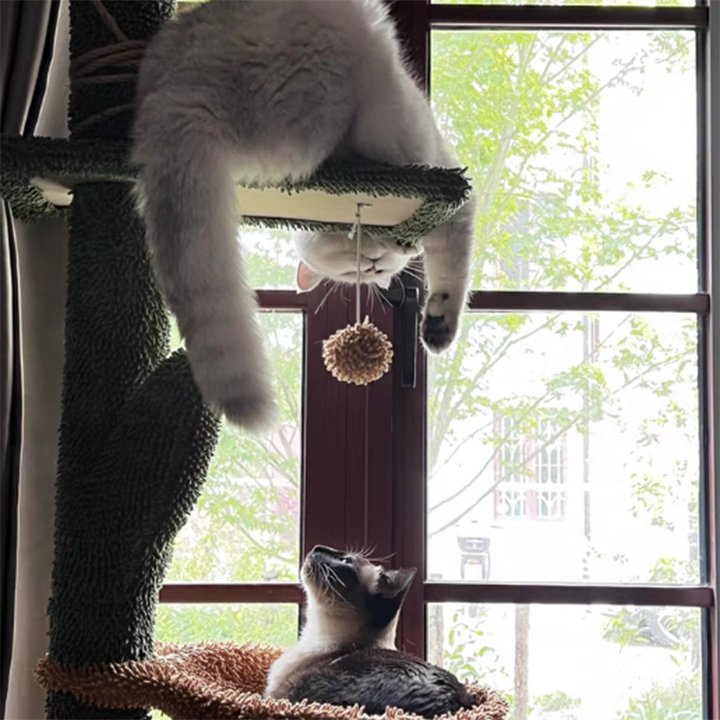 Árbol para gatos contemporáneo de partículas rectangulares de tela de terciopelo y tubo de papel de sisal con forma de cactus para sala de estar 