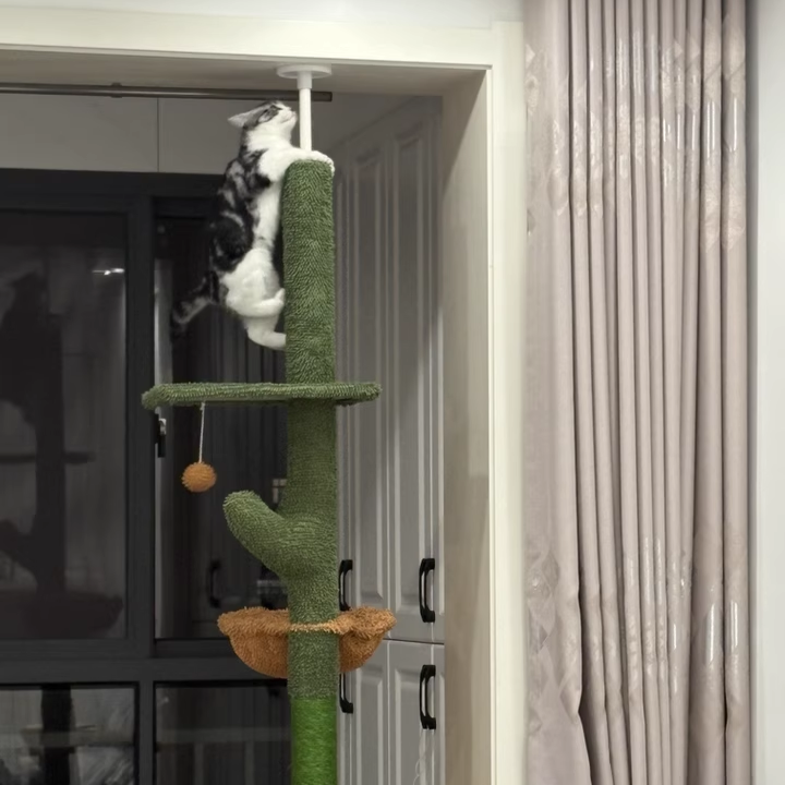 Árbol para gatos contemporáneo de partículas rectangulares de tela de terciopelo y tubo de papel de sisal con forma de cactus para sala de estar 