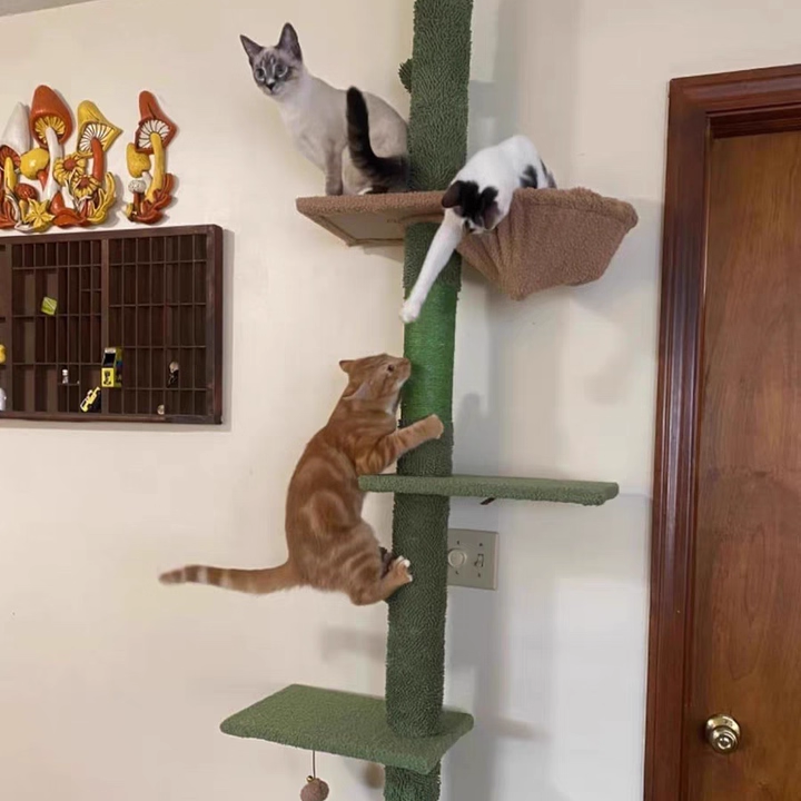 Árbol para gatos contemporáneo de partículas rectangulares de tela de terciopelo y tubo de papel de sisal con forma de cactus para sala de estar 