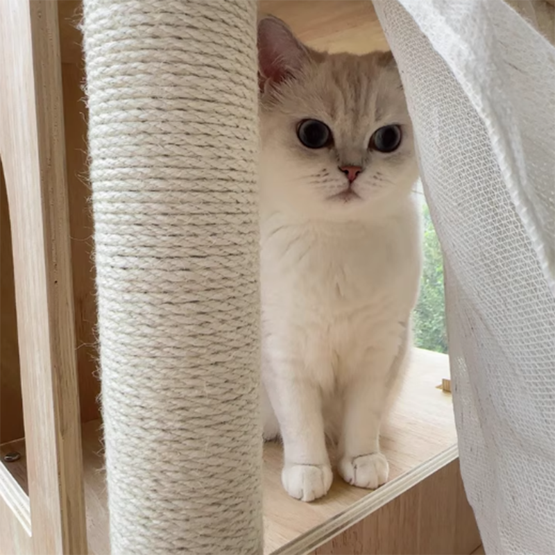 現代スカンジナビア長方形パイン無垢材柱多層無垢材パネル麻縄キャットツリー4段階リビングルーム用 