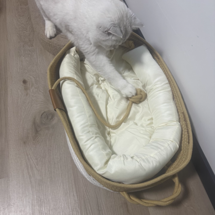 Cama para gatos tejida con cuerda de lino-algodón ovalada contemporánea escandinava para sala de estar y dormitorio 