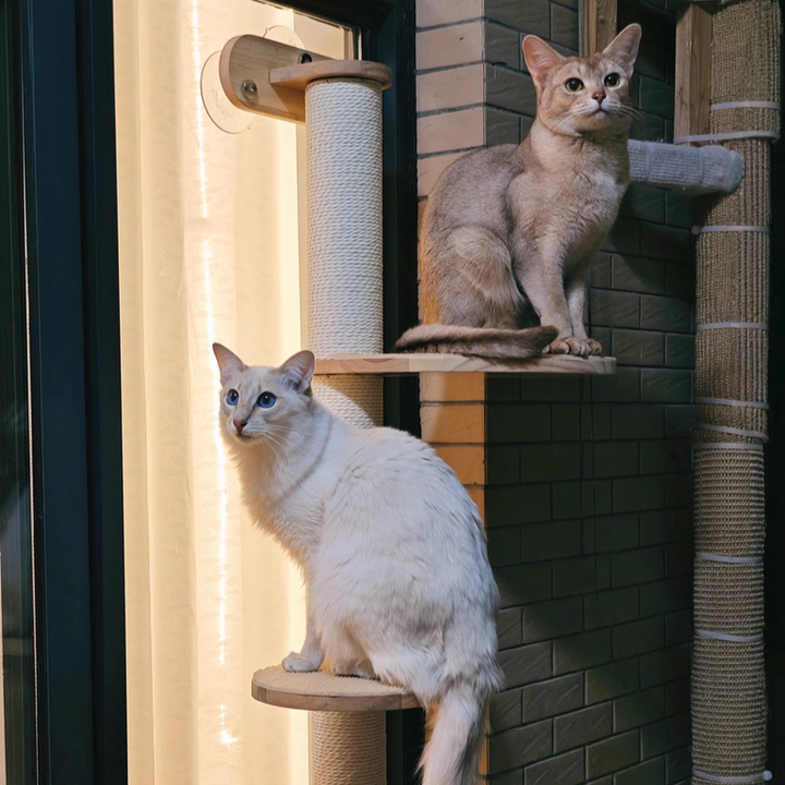 Contemporary Scandinavian Round Rubberwood Solid Wood Kraft Paper Rope Cat Tree 3-Tier For Living Room