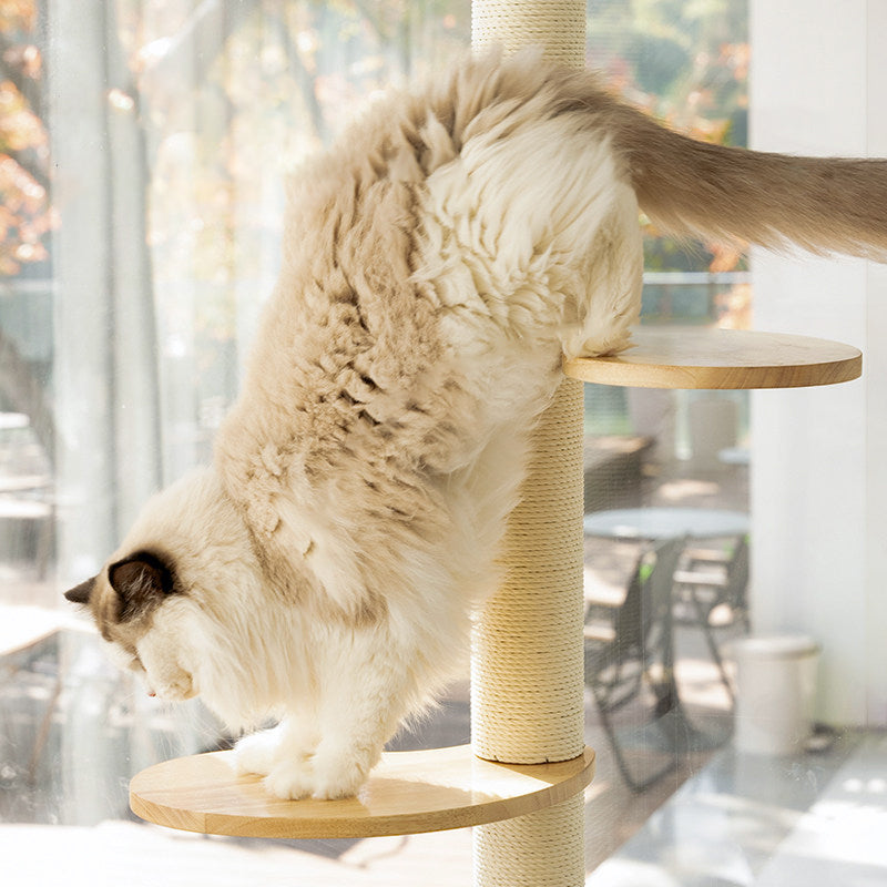 Contemporary Scandinavian Round Rubberwood Solid Wood Kraft Paper Rope Cat Tree 3-Tier For Living Room