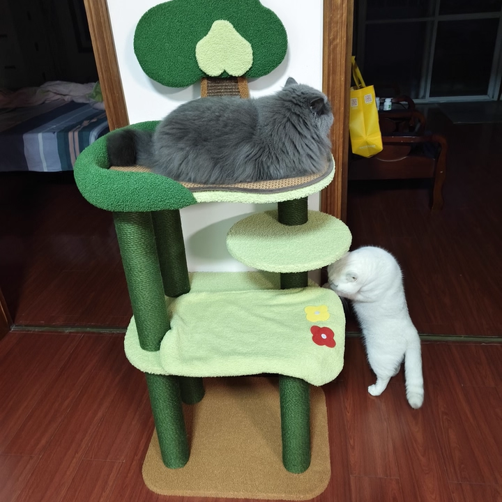 Arbre à chat contemporain créatif rectangulaire en panneaux de particules, carton, tissu velours et sisal, à 4 niveaux pour salon 