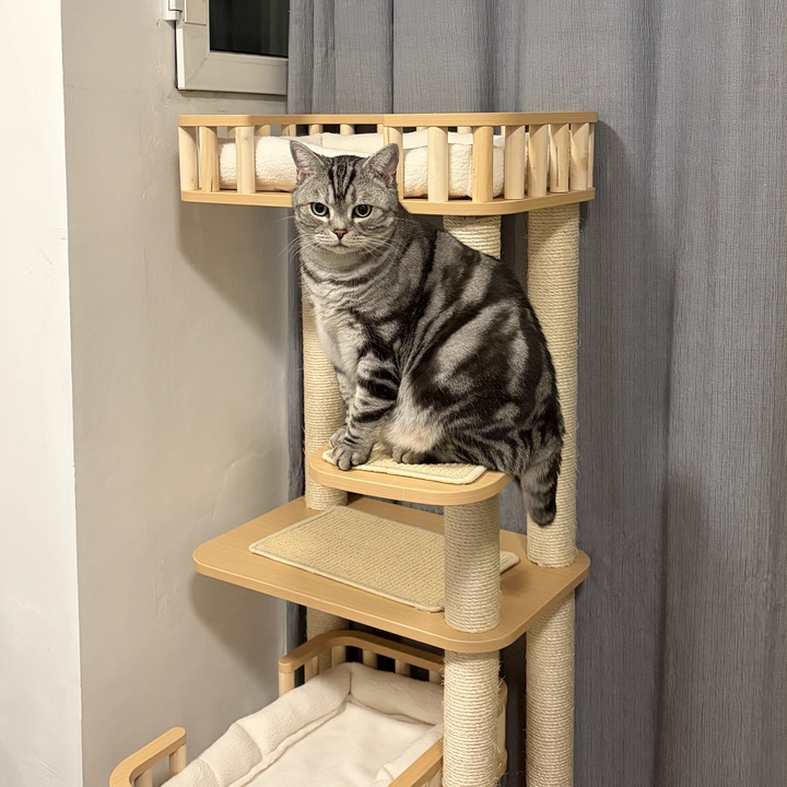 現代風スカンジナビアンスタイルのスクエア多層ソリッドウッドパネルベルベットファブリックサイザルキャットツリー4層リビングルーム用 