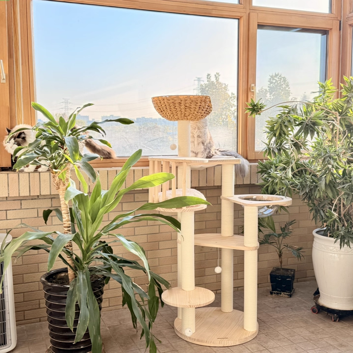 Árbol para gatos contemporáneo escandinavo redondo de madera maciza de pino con imitación de ratán, tela de terciopelo y cuerda de papel kraft de 5 niveles para sala de estar 