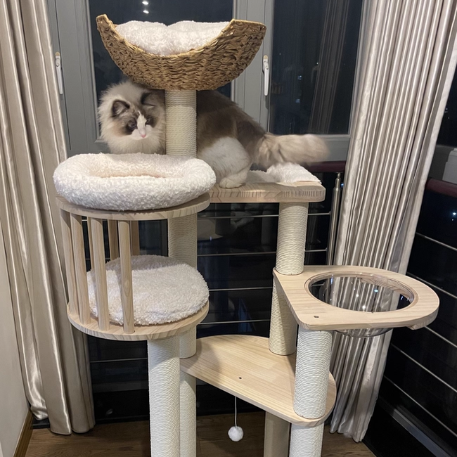 Árbol para gatos contemporáneo escandinavo redondo de madera maciza de pino con imitación de ratán, tela de terciopelo y cuerda de papel kraft de 5 niveles para sala de estar 