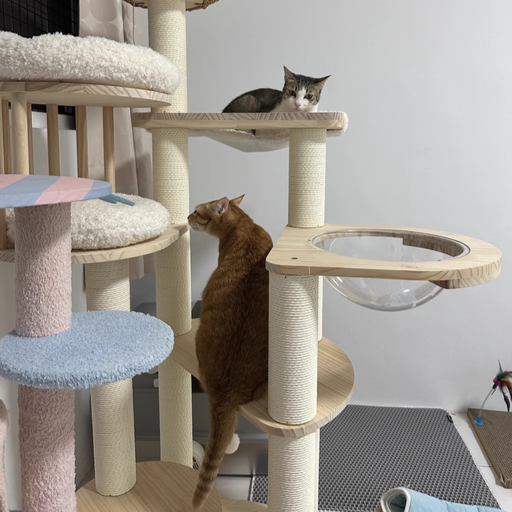 Árbol para gatos contemporáneo escandinavo redondo de madera maciza de pino con imitación de ratán, tela de terciopelo y cuerda de papel kraft de 5 niveles para sala de estar 