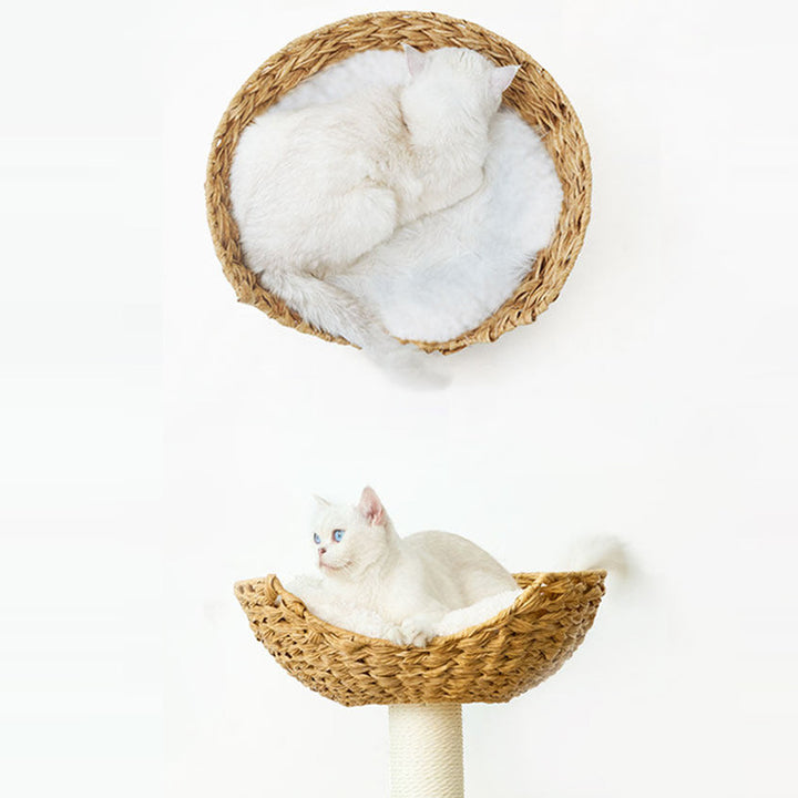 Arbre à chat contemporain scandinave rond en bois de pin massif, faux rotin, tissu velours, corde en papier kraft, 5 niveaux pour salon 