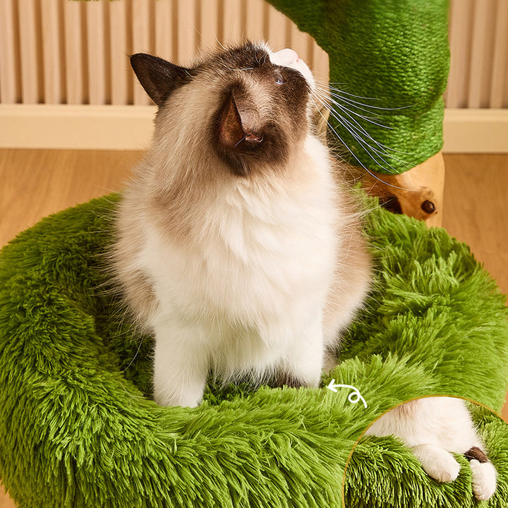 Arbre à chat contemporain créatif rond en panneau de particules en bois fruitier naturel, sisal et tissu velours, 4 niveaux pour salon 