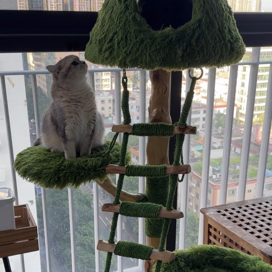 Arbre à chat contemporain créatif rond en panneau de particules en bois fruitier naturel, sisal et tissu velours, 4 niveaux pour salon 