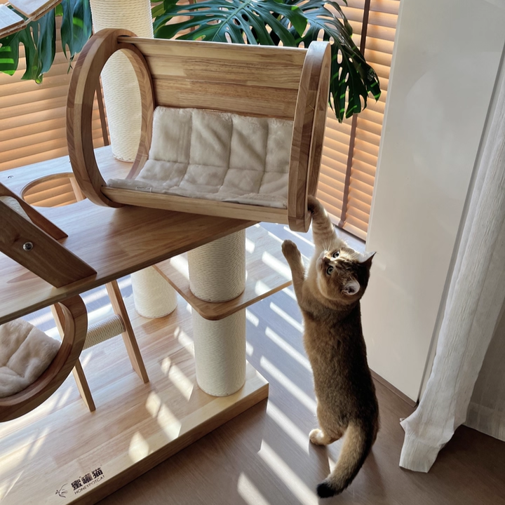 Contemporary Scandinavian Rectangular Solid Wood Panel Multi-Layer Solid Wood Panel Paper Tube Paper Rope Velvet Fabric Acrylic Large Cat Tree 6-Tier For Living Room