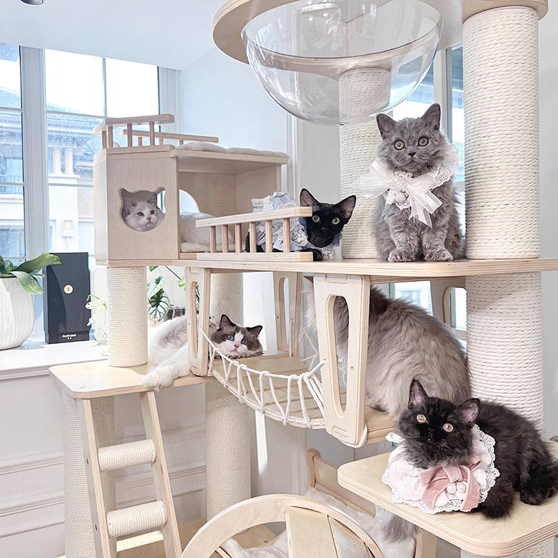Contemporary Scandinavian Rectangular Solid Wood Panel Multi-Layer Solid Wood Panel Paper Tube Paper Rope Velvet Fabric Acrylic Large Cat Tree 6-Tier For Living Room