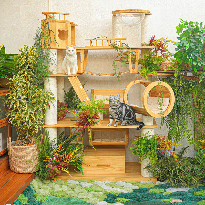 Contemporary Scandinavian Rectangular Solid Wood Panel Multi-Layer Solid Wood Panel Paper Tube Paper Rope Velvet Fabric Acrylic Large Cat Tree 6-Tier For Living Room
