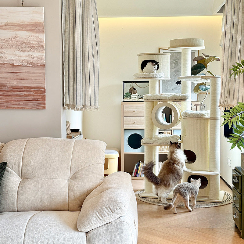 Arbre à chat contemporain scandinave rond à plusieurs niveaux en panneau de bois massif, panneau de fibres, corde en papier, tube en papier, velours côtelé, 7 niveaux pour salon 
