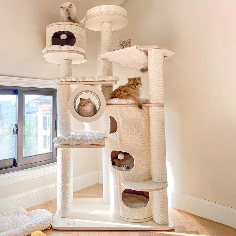 Arbre à chat contemporain scandinave rond à plusieurs niveaux en panneau de bois massif, panneau de fibres, corde en papier, tube en papier, velours côtelé, 7 niveaux pour salon 