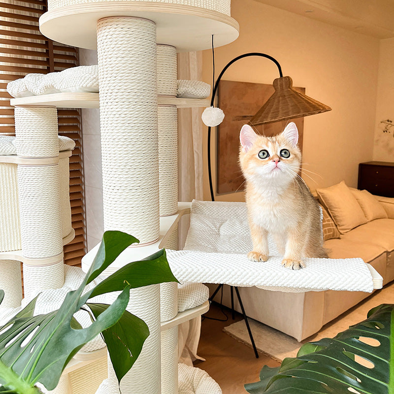 Arbre à chat contemporain scandinave rond à plusieurs niveaux en panneau de bois massif, panneau de fibres, corde en papier, tube en papier, velours côtelé, 7 niveaux pour salon 