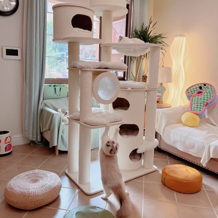 Arbre à chat contemporain scandinave rond à plusieurs niveaux en panneau de bois massif, panneau de fibres, corde en papier, tube en papier, velours côtelé, 7 niveaux pour salon 