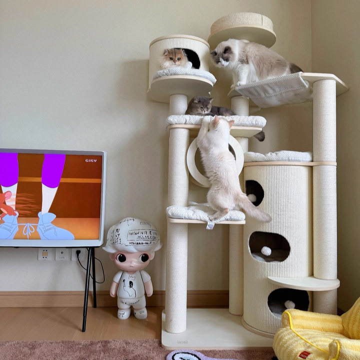 Arbre à chat contemporain scandinave rond à plusieurs niveaux en panneau de bois massif, panneau de fibres, corde en papier, tube en papier, velours côtelé, 7 niveaux pour salon 