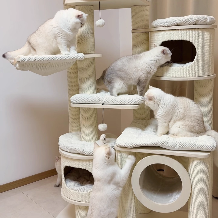 Arbre à chat contemporain scandinave rond à plusieurs niveaux en panneau de bois massif, panneau de fibres, corde en papier, tube en papier, velours côtelé, 7 niveaux pour salon 