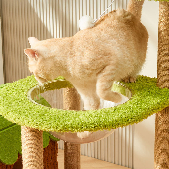 Arbre à chat contemporain créatif en panneau de fibres à densité moyenne rectangulaire, velours, feutre, sisal, maison pour chat, 2/3/4 niveaux pour salon 