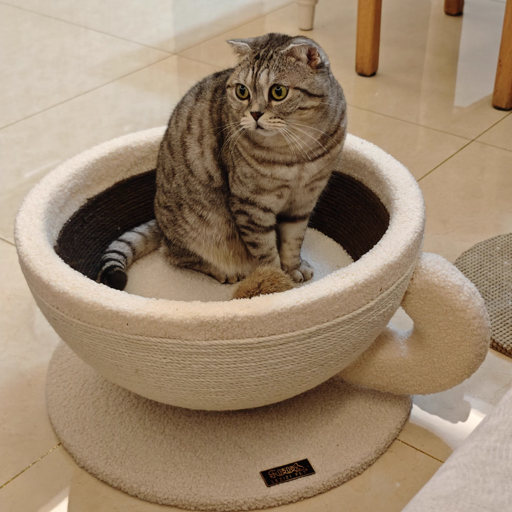コンテンポラリークリエイティブラウンド中密度ファイバーボードベルベットファブリックシサルコーヒーカップキャットベッドフォーベッドルーム 
