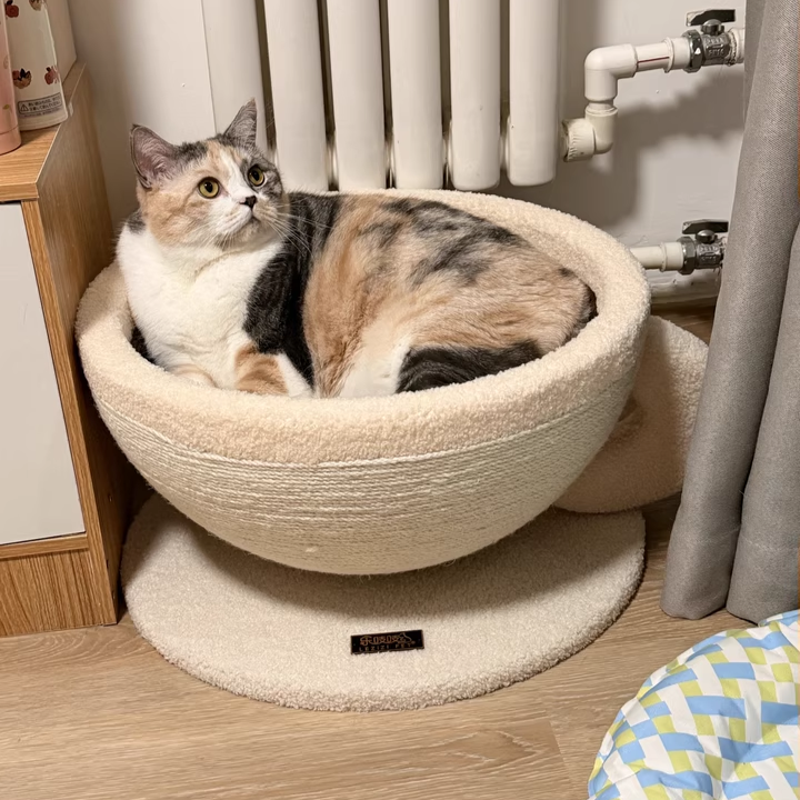 コンテンポラリークリエイティブラウンド中密度ファイバーボードベルベットファブリックシサルコーヒーカップキャットベッドフォーベッドルーム 
