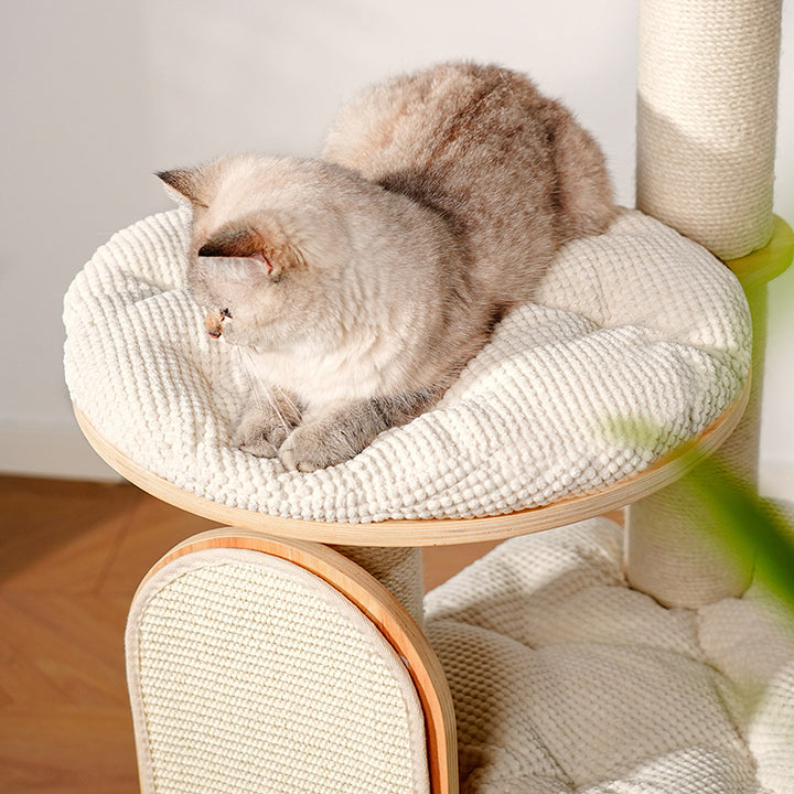 Arbre à chat contemporain scandinave rond E0 en bois massif multicouche, contreplaqué, velours côtelé, corde de chanvre, tube en papier, acrylique, 5 niveaux pour chambre 