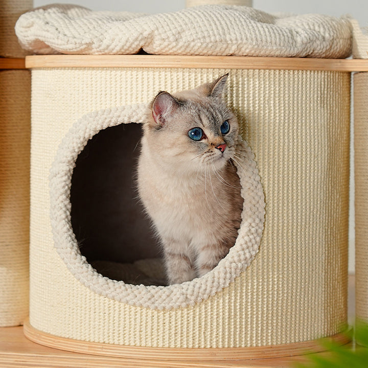 Arbre à chat contemporain scandinave rond E0 en bois massif multicouche, contreplaqué, velours côtelé, corde de chanvre, tube en papier, acrylique, 5 niveaux pour chambre 