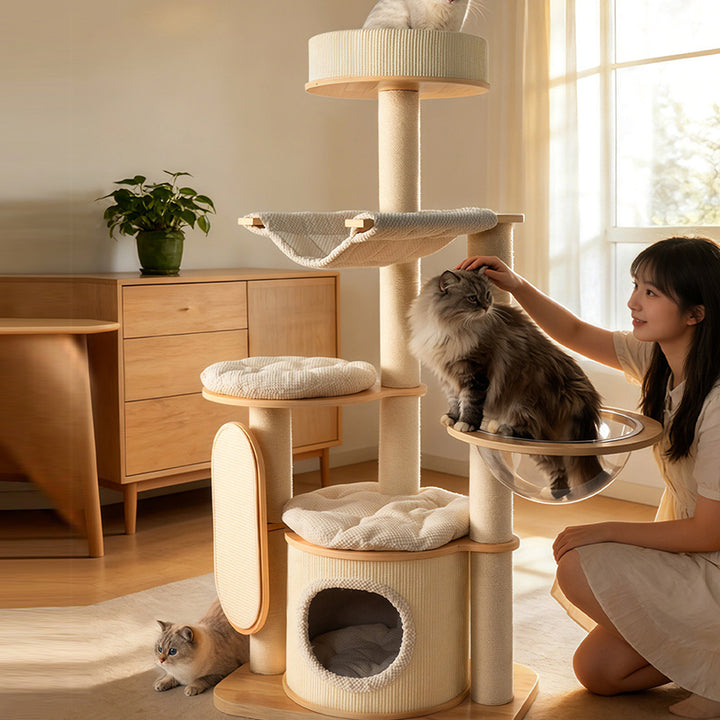 Arbre à chat contemporain scandinave rond E0 en bois massif multicouche, contreplaqué, velours côtelé, corde de chanvre, tube en papier, acrylique, 5 niveaux pour chambre 