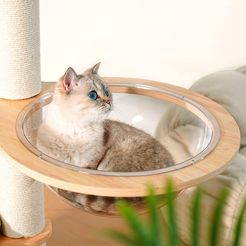 Arbre à chat contemporain scandinave rond E0 en bois massif multicouche, contreplaqué, velours côtelé, corde de chanvre, tube en papier, acrylique, 5 niveaux pour chambre 