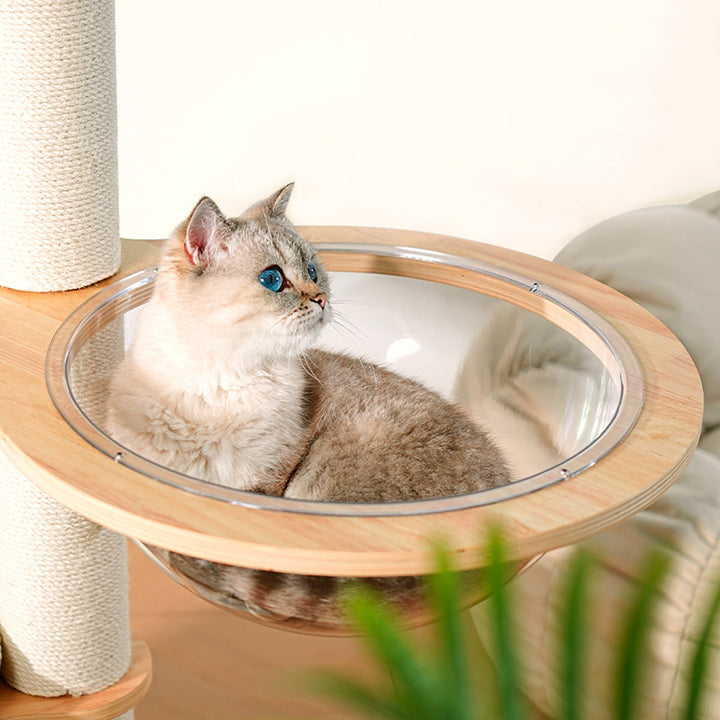 Arbre à chat contemporain scandinave rond E0 en bois massif multicouche, contreplaqué, velours côtelé, corde de chanvre, tube en papier, acrylique, 5 niveaux pour chambre 