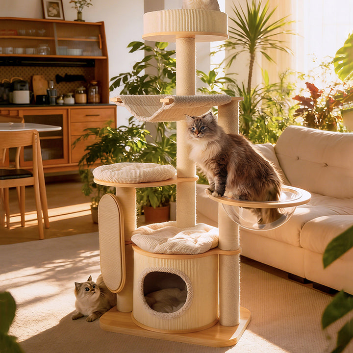 Arbre à chat contemporain scandinave rond E0 en bois massif multicouche, contreplaqué, velours côtelé, corde de chanvre, tube en papier, acrylique, 5 niveaux pour chambre 