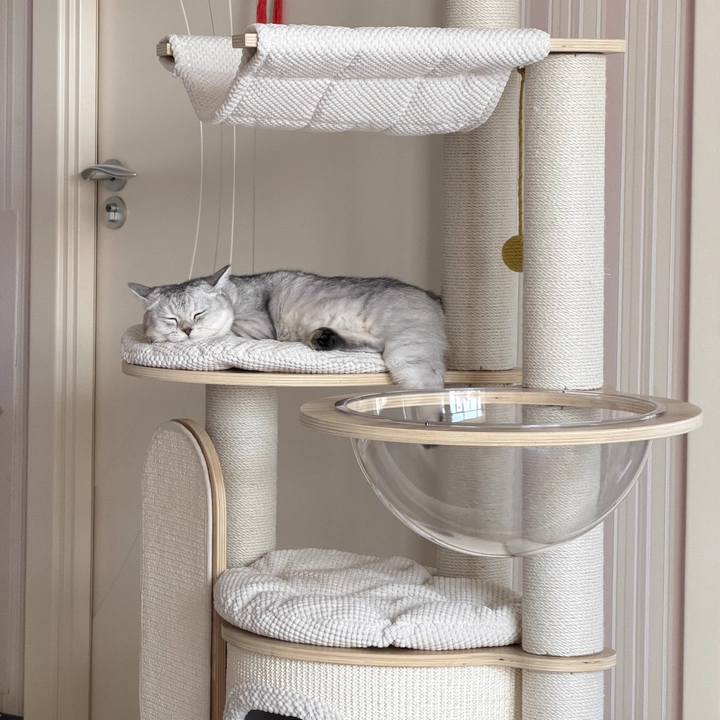 Arbre à chat contemporain scandinave rond E0 en bois massif multicouche, contreplaqué, velours côtelé, corde de chanvre, tube en papier, acrylique, 5 niveaux pour chambre 