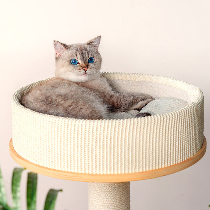 Arbre à chat contemporain scandinave rond E0 en bois massif multicouche, contreplaqué, velours côtelé, corde de chanvre, tube en papier, acrylique, 5 niveaux pour chambre 