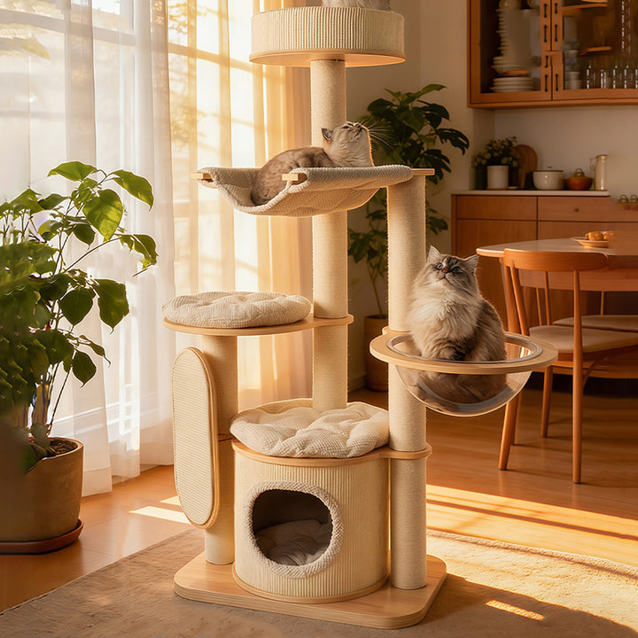 Arbre à chat contemporain scandinave rond E0 en bois massif multicouche, contreplaqué, velours côtelé, corde de chanvre, tube en papier, acrylique, 5 niveaux pour chambre 