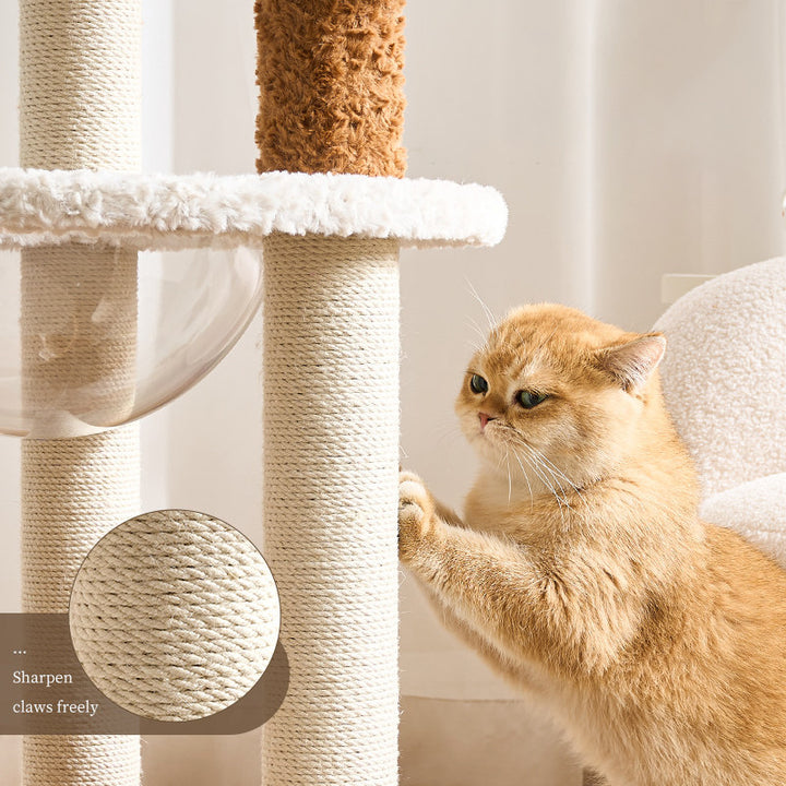 Arbre à chat contemporain scandinave à 5 niveaux en panneau de fibres de densité moyenne, tissu velours, corde de chanvre, tube en papier et acrylique pour chambre à coucher 